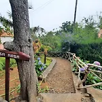 Holiday home Casa Rosa Camacha (Madeira)