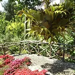 Holiday home Casa Rosa Camacha (Madeira)