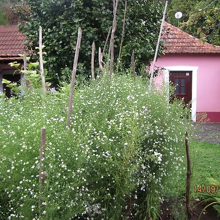 Casa Rosa