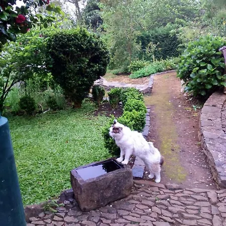 Casa Rosa *