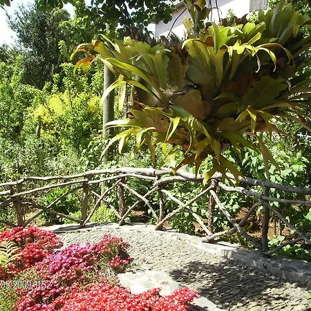 Nyaraló Casa Rosa Camacha