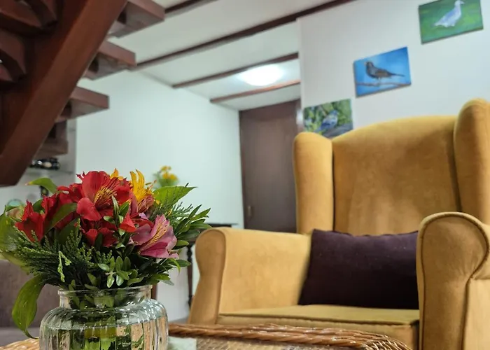Tatil Evi Casa Rosa Camacha (Madeira)