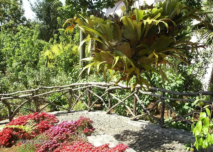 Tatil Evi Casa Rosa Camacha (Madeira)